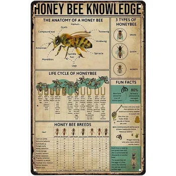 Lucu Logam Timah Tanda Madu Lebah Pengetahuan Anatomi Retro Logam Timah Tanda Antik Tanda Luar Ruangan Dala Ruangan Dekorasi Pa Obrázok