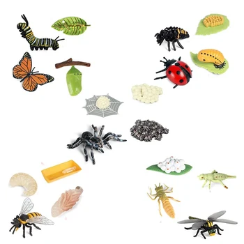 Životný Cyklus Figúrky z Motýľ Spider Bee Lienka Dragonfly, Plastové Hmyzu Chybu Údaje Hračky, Školský Projekt pre Deti Obrázok
